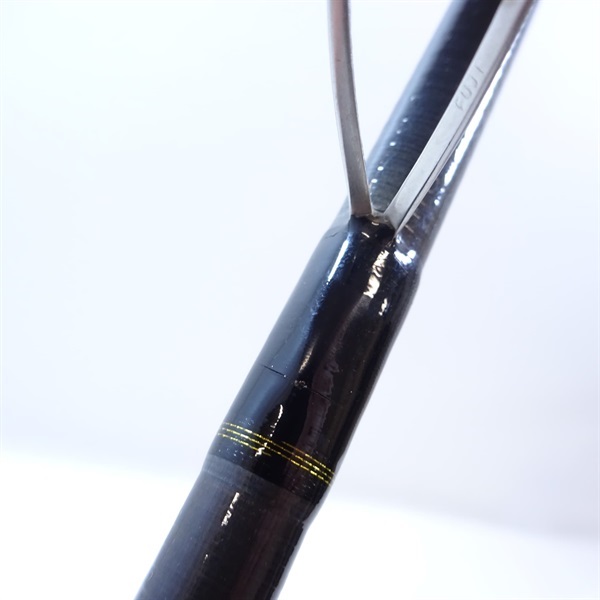 ２１シーバスハンターＸ９６Ｍ
